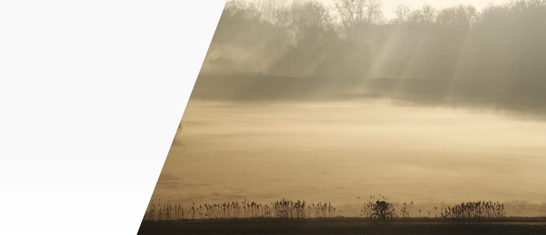 Woonplus | Informatie, advies en begeleiding over wonen