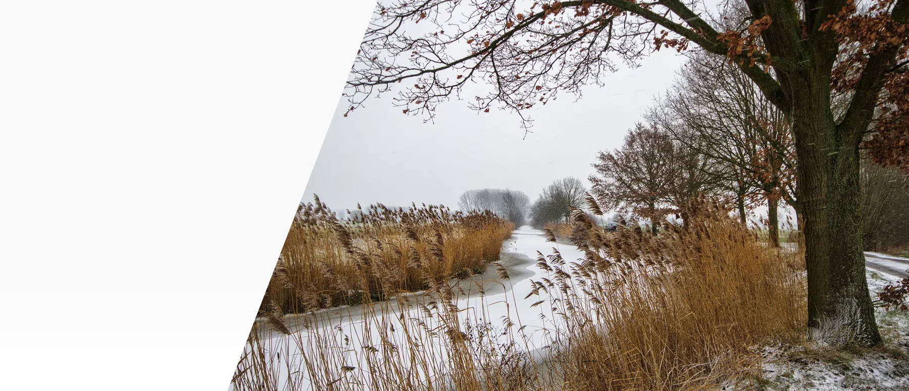 Woonplus | Informatie, advies en begeleiding over wonen