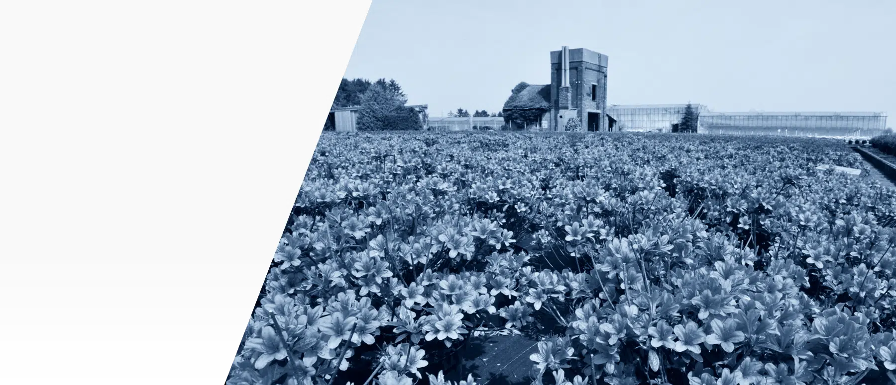 Woonplus | Informatie, advies en begeleiding over wonen